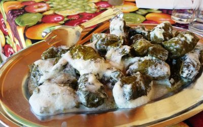Dolmadakia with vine leaves stuffed with meat and rice