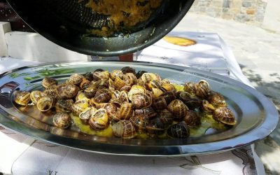 Hohlious Boubouristous (snails in rosemary and vinegar)